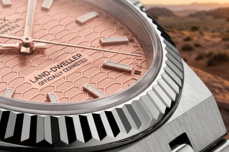 rolex land dweller salmon honeycomb macro